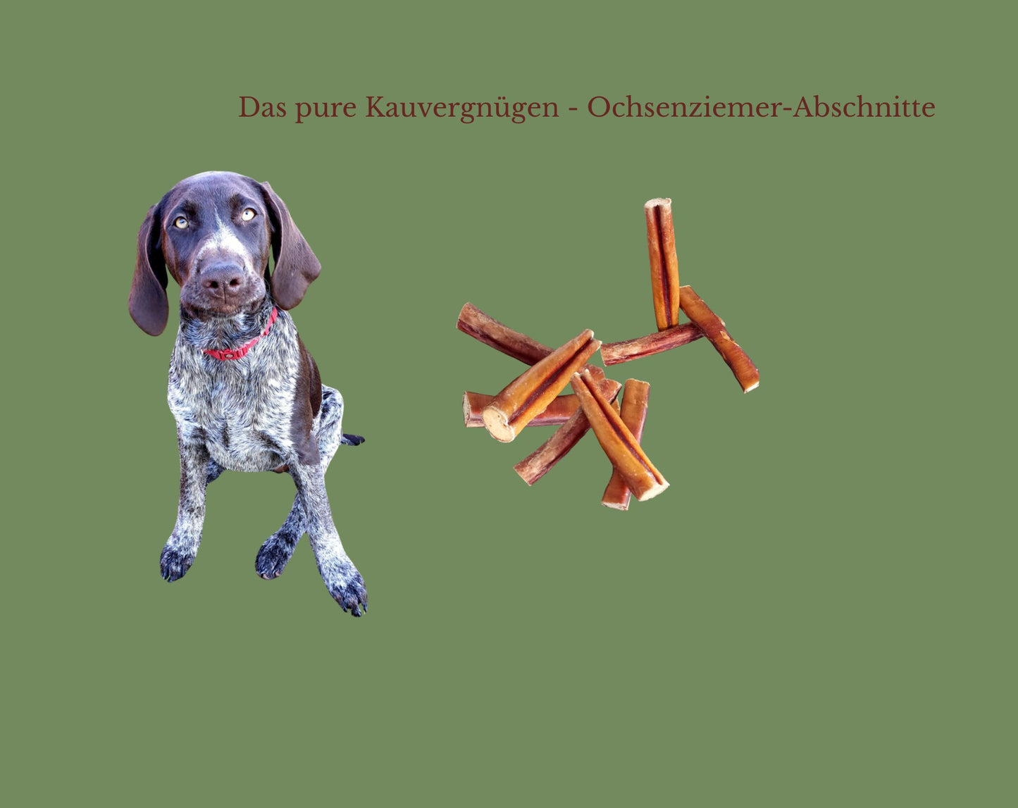 Ochsenziemer
