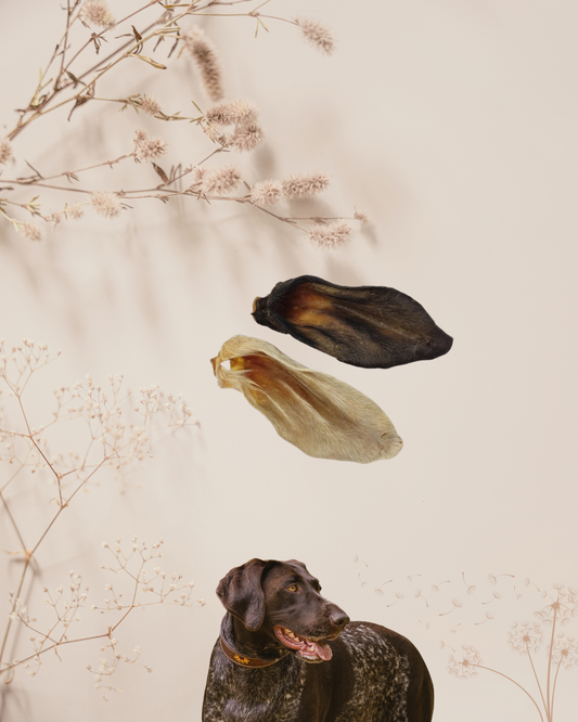 Ziegenohren mit Fell